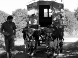 carabistouille thomas 3 ok