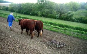 jean pierre garrouste 1 ok