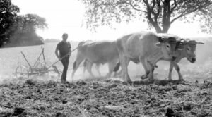 fleurentdidier emmanuel 1 ok