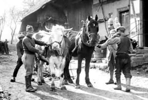 doc ecpad alsace 1 ok