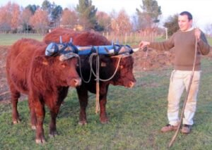 sebastien bonnot 5 ok