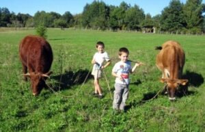 sebastien bonnot 6 ok