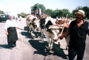 dubreil pierre défilé st andré treize voix 2003 ok