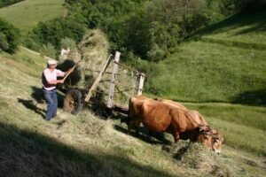 eric rousseaux F05 ok