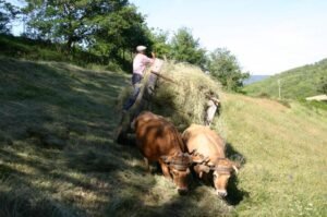 eric rousseaux F08 ok