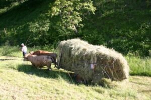 eric rousseaux F10 ok