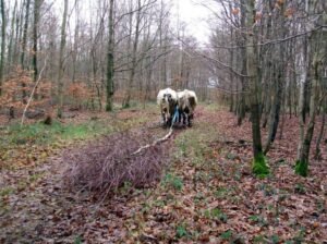 Ihélé frédéric 2014 travaux hiver 9 ok