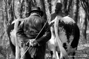 jean marc de berranger 1 ok