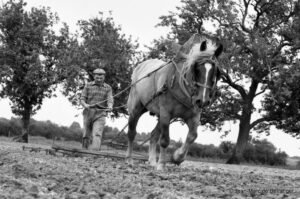 jean marc de berranger 7 ok