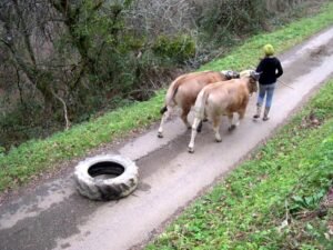 imprégnation tifennvital 4 ok