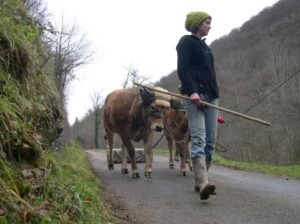 imprégnation tifennvital 5 ok