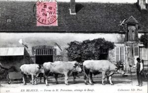 Les autres grandes attelées 3 ok