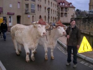 télématin charollais 2 ok