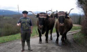 201403061869-full r ok