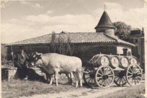 char à boeufs claude brosse ok
