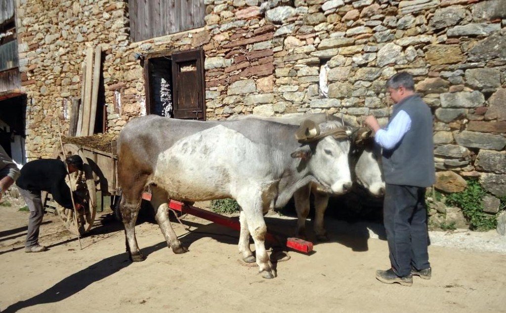 colloque ariège 2014 solène gaudin 1858 ok