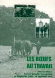 les boeufs au travail AFMA 2 ok