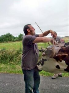 thomas carabistouille ok