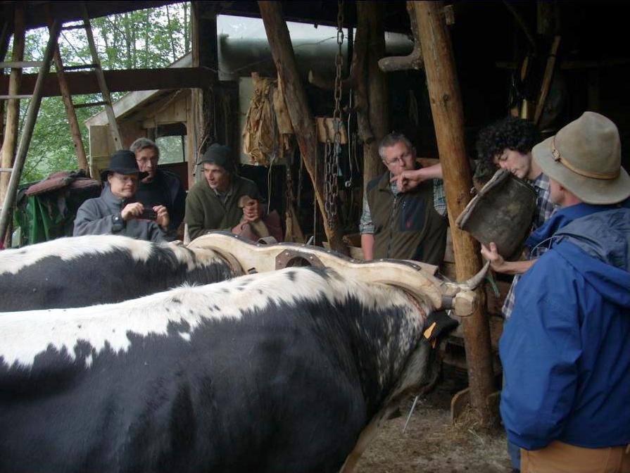 rencontres alsaces journée technique pk 2014 ok (11)