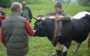 rencontres alsaces journée technique pk 2014 ok (23)