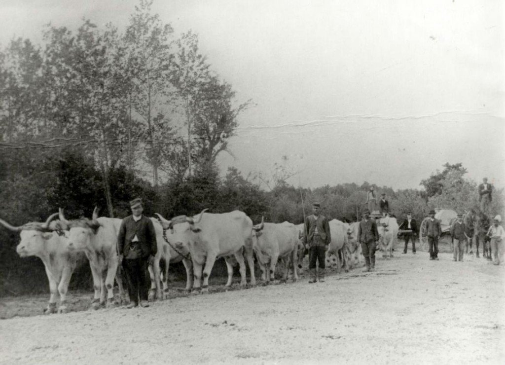 galvachers p berte langereau 8 ok