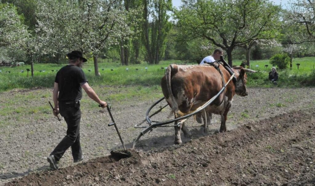 rencontres 2016 alsace 43 ok