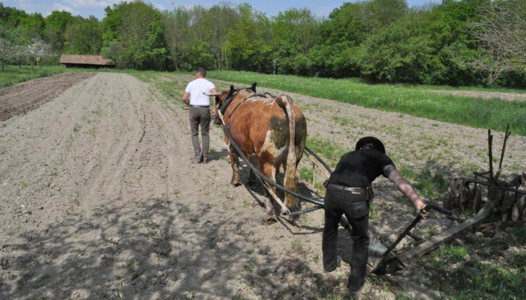 rencontres 2016 alsace 44 ok