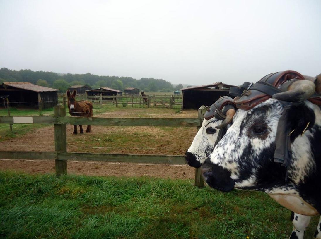 rencontres maillezais 10 aout 2016 1 ok