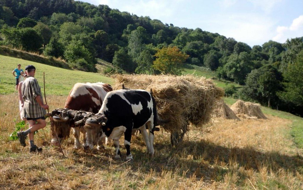 michel berne battages 2016 ok