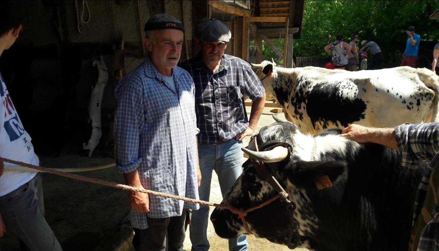 rencontres 2017 alsace 10 ok