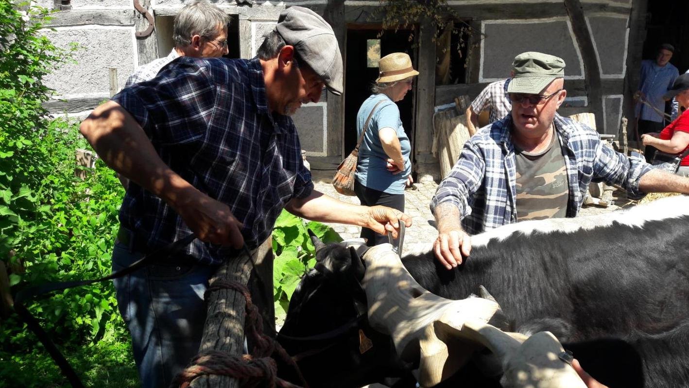 rencontres 2017 alsace 11 ok