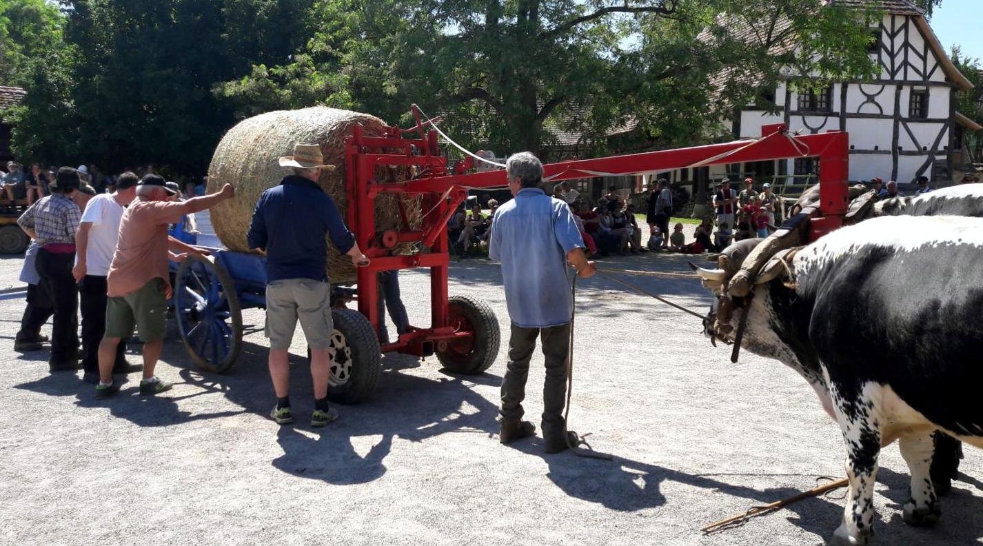 rencontres 2017 alsace 12 ok