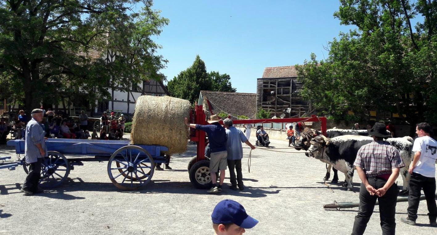 rencontres 2017 alsace 13 ok