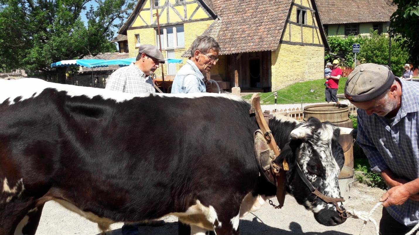 rencontres 2017 alsace 16 ok