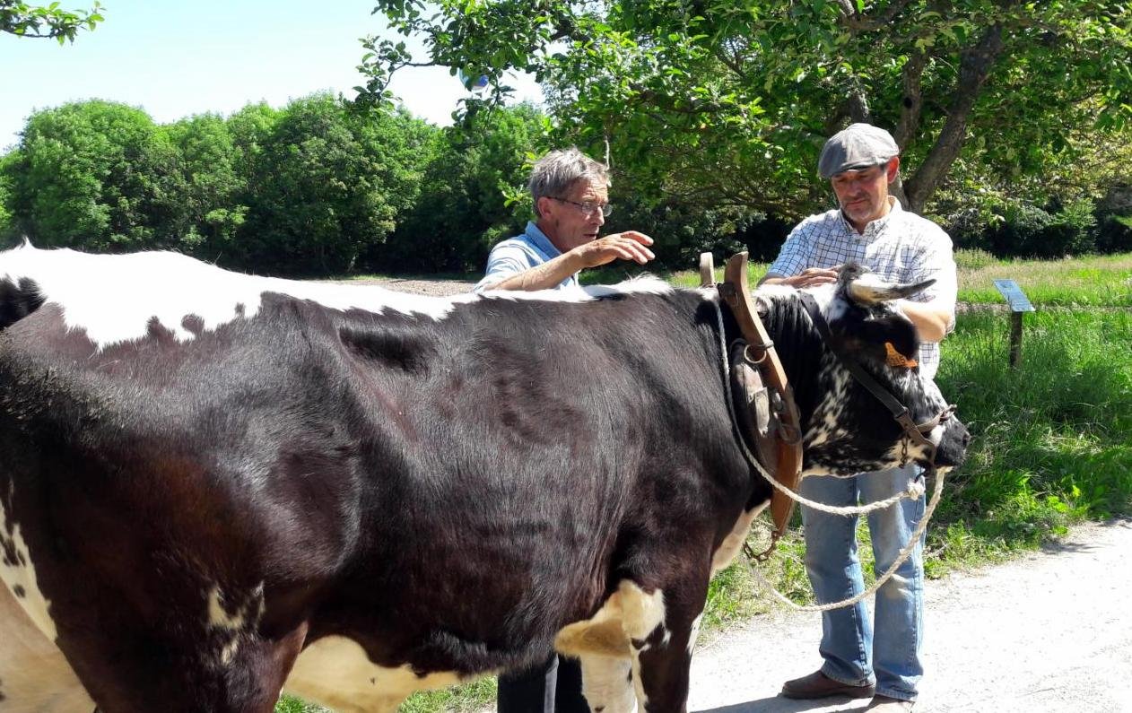 rencontres 2017 alsace 17 ok