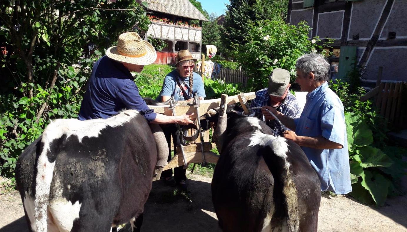 rencontres 2017 alsace 2 ok