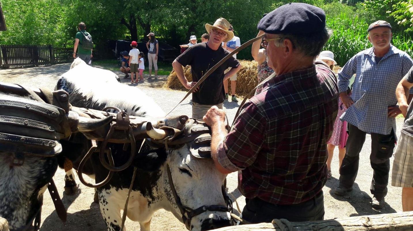 rencontres 2017 alsace 22 ok