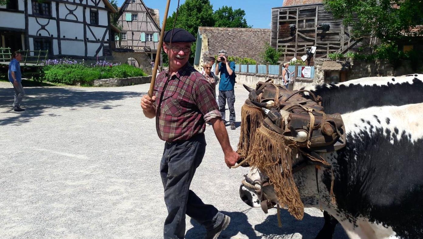 rencontres 2017 alsace 23 ok