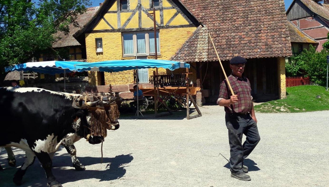 rencontres 2017 alsace 24 ok