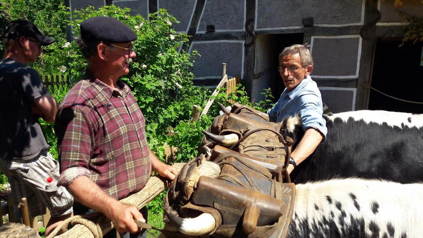 rencontres 2017 alsace 25 ok