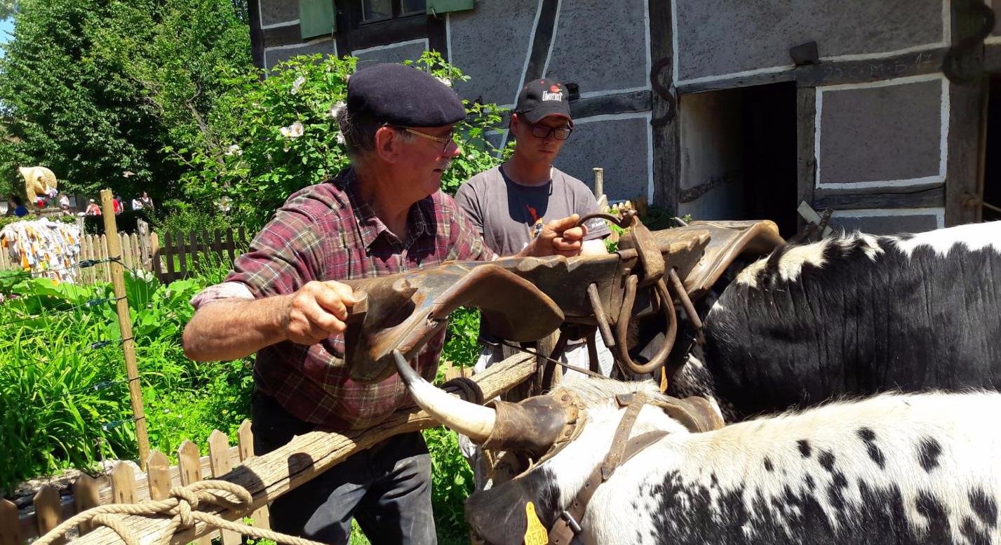 rencontres 2017 alsace 26 ok