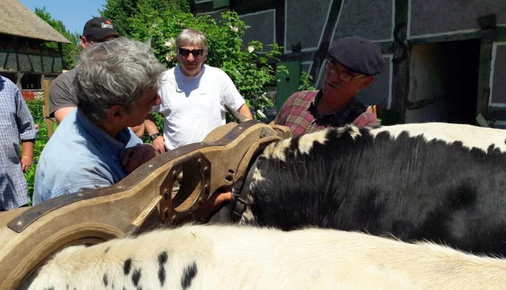 rencontres 2017 alsace 27 ok