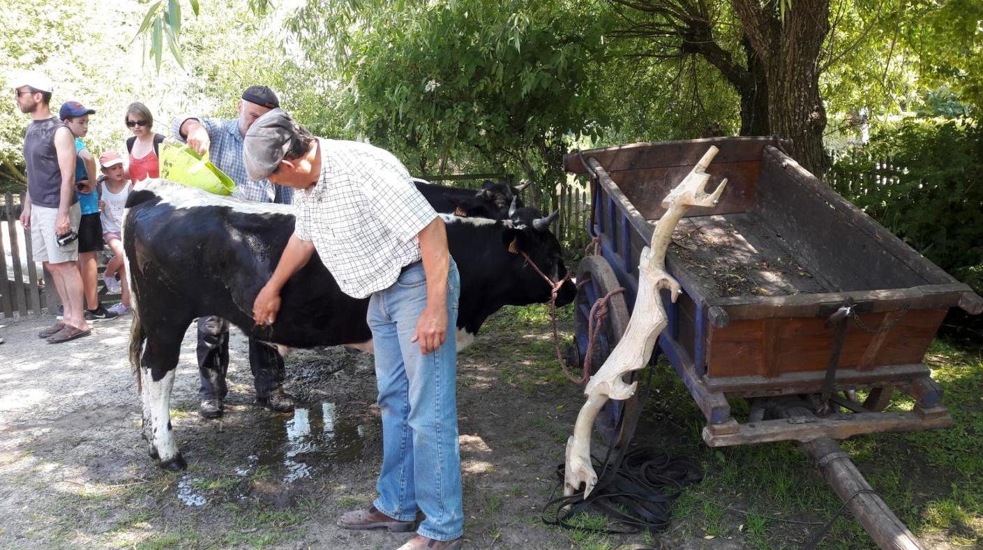 rencontres 2017 alsace 29 ok