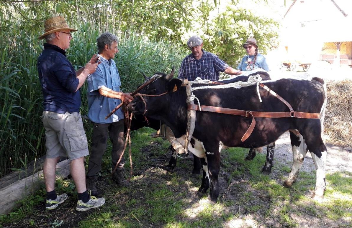 rencontres 2017 alsace 3 ok