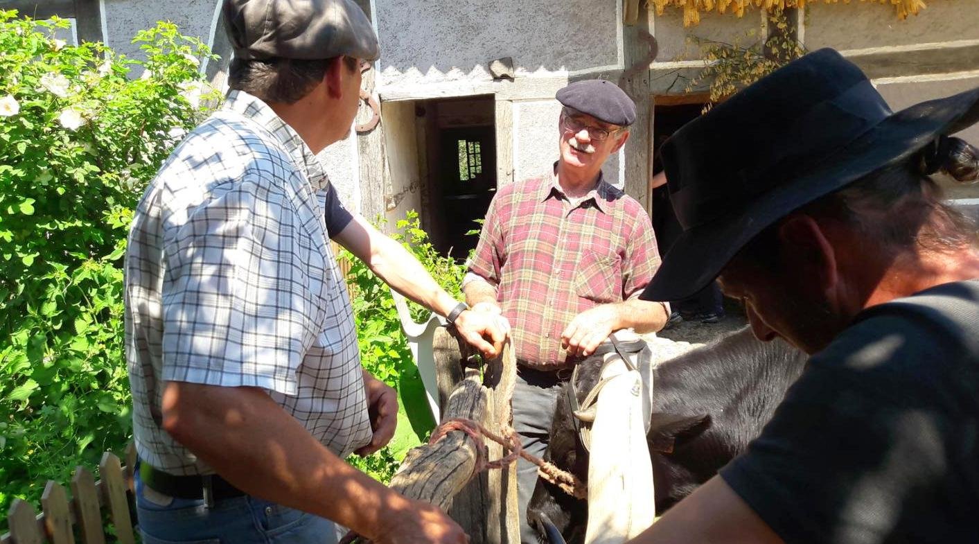 rencontres 2017 alsace 30 ok