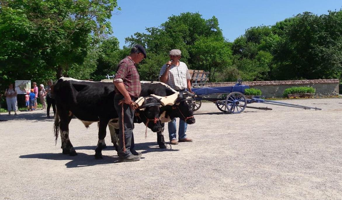 rencontres 2017 alsace 31 ok