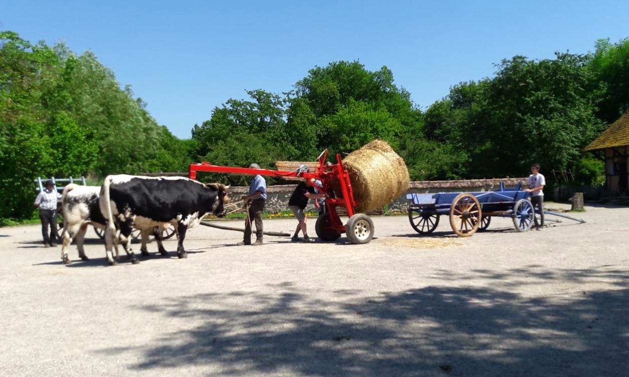 rencontres 2017 alsace 33 ok