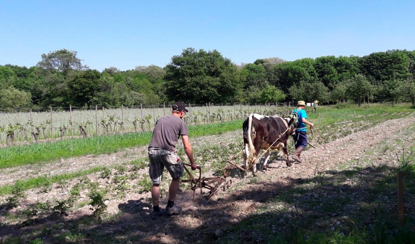 rencontres 2017 alsace 34 ok