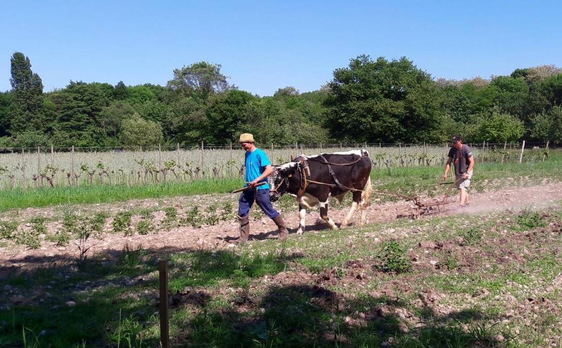 rencontres 2017 alsace 35 ok