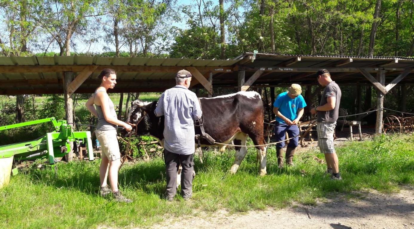 rencontres 2017 alsace 36 ok